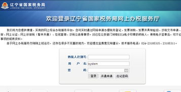 辽宁国税网上申报系统 图片预览
